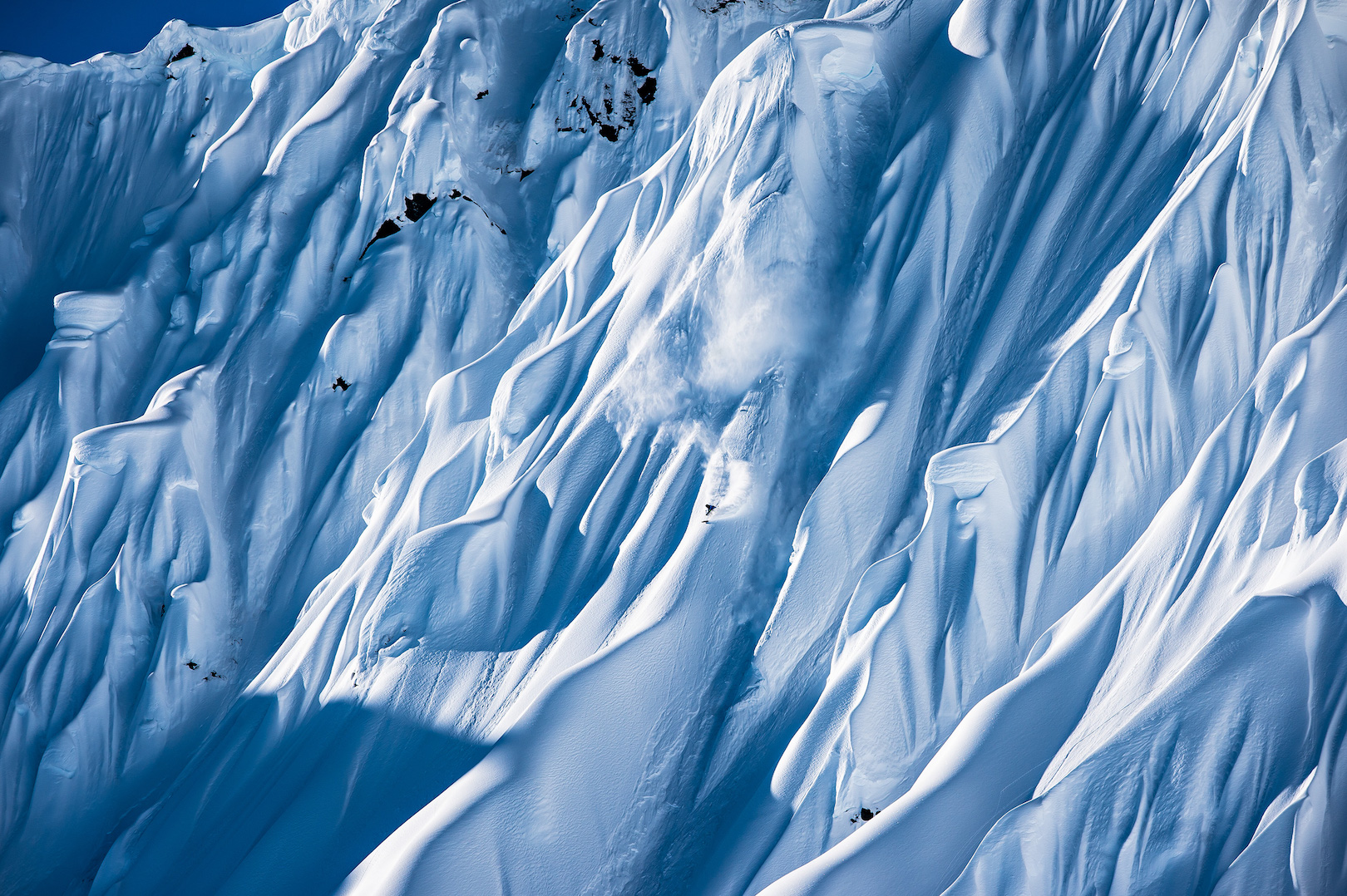 Tobi Tritscher credit: Pally Learmond