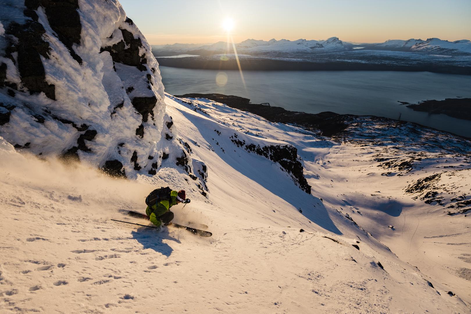 credit: Fredriksson M.