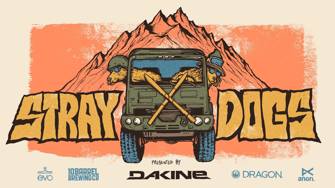 Stray Dogs Good Company