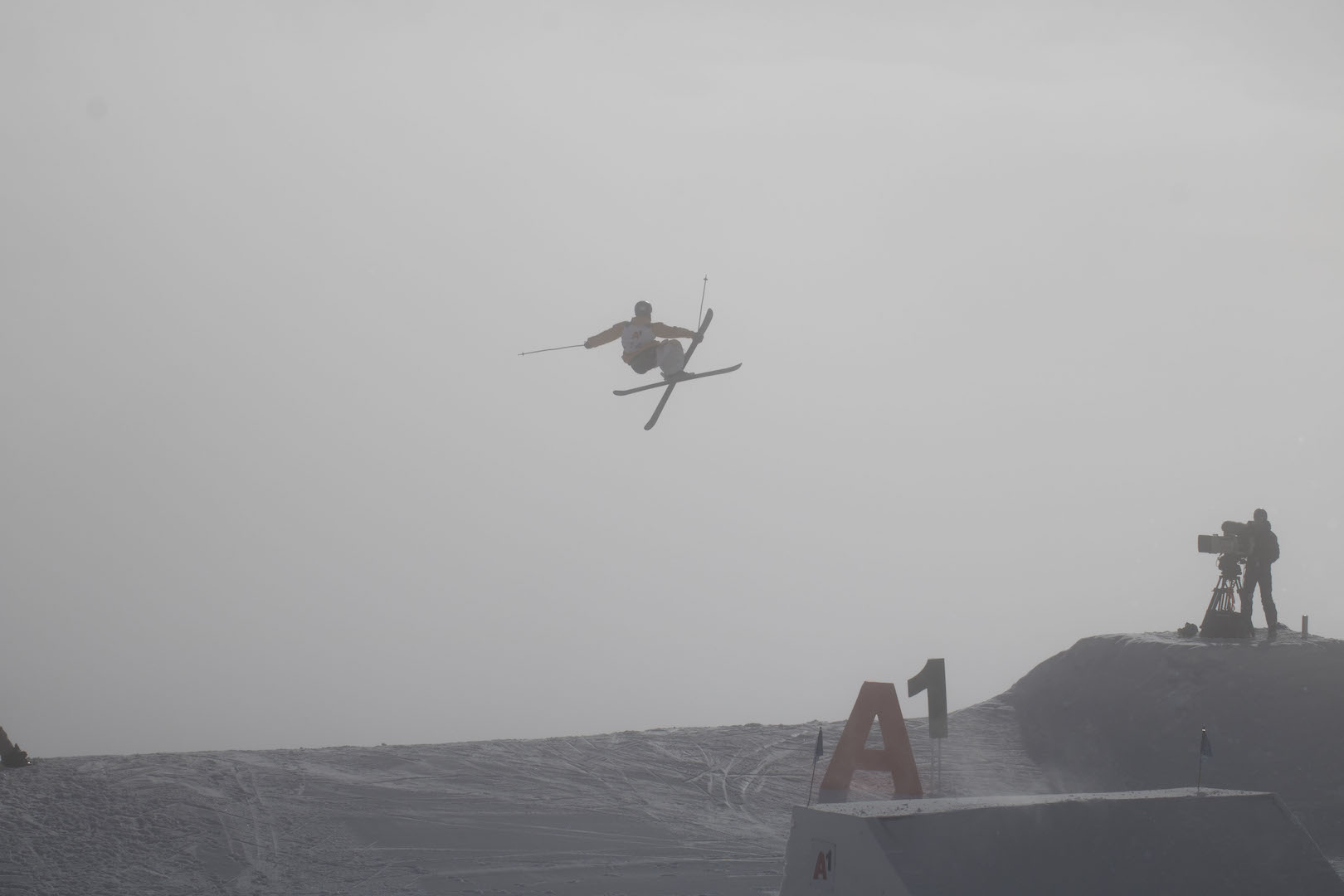 Preview for the gallery