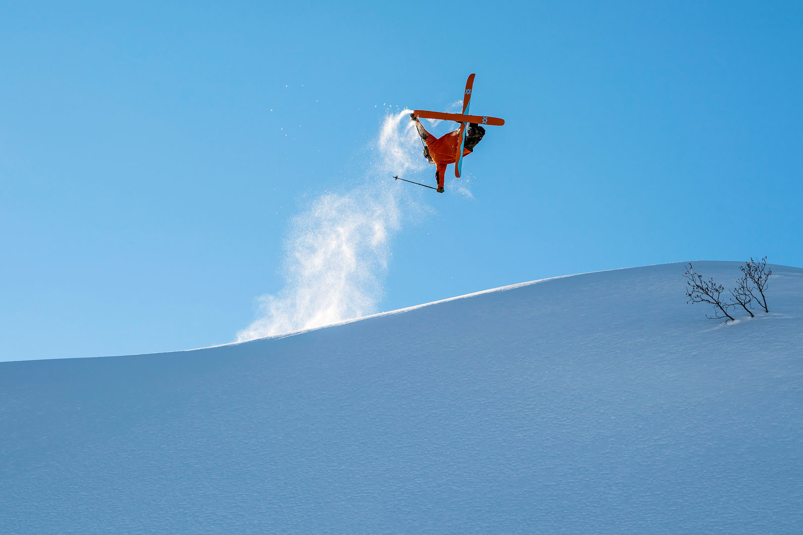 credit: Pally Learmond