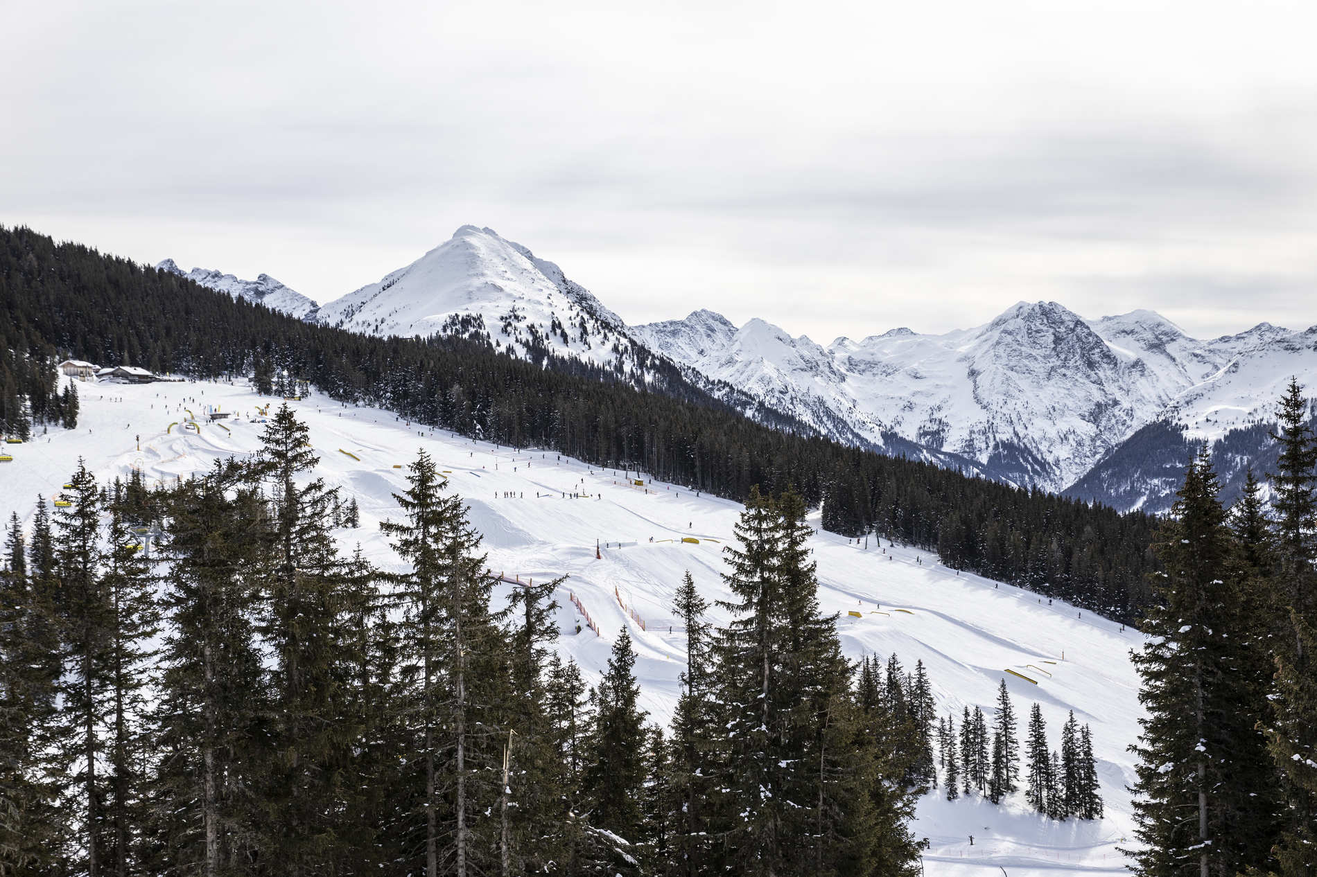 credit: Nikola Milatovic