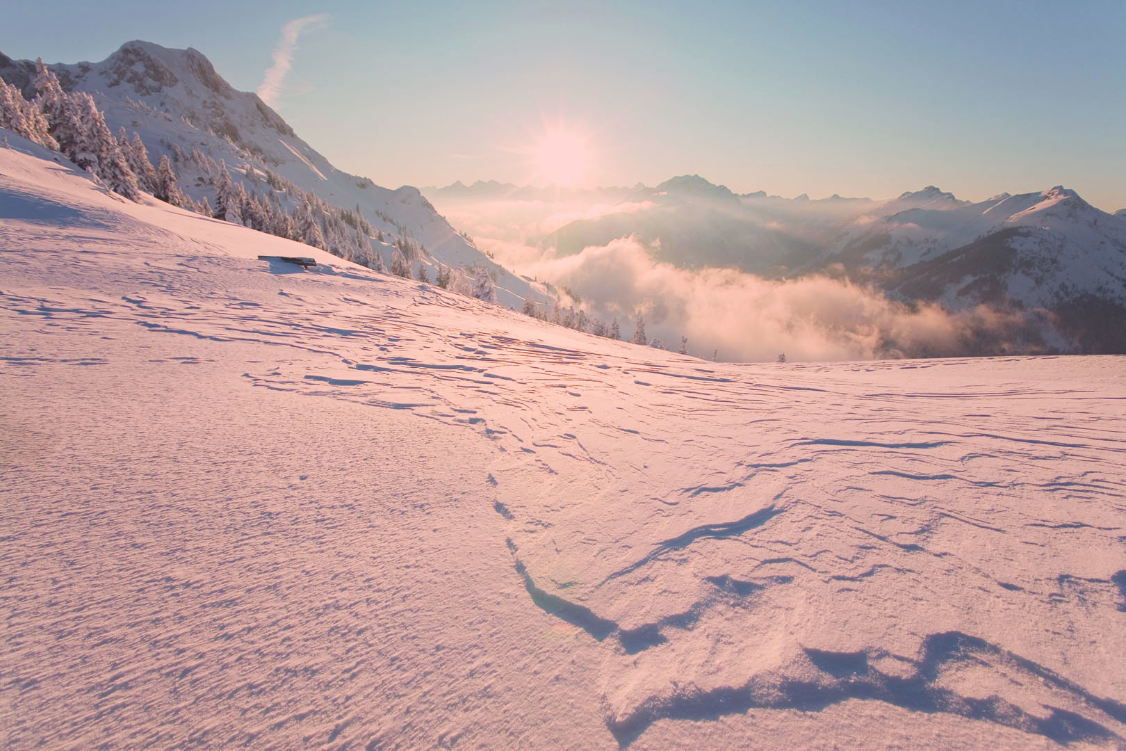 Der Farbton der Quattroflex Technologie.