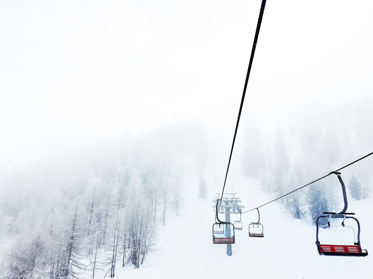 credit: Emma Paillex