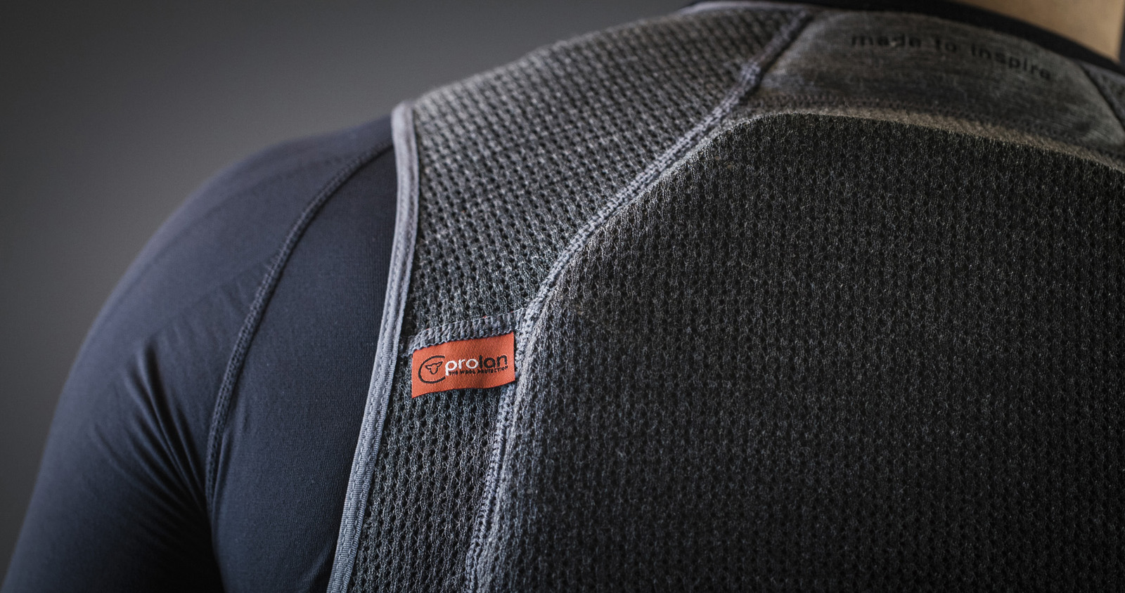 Alpina-Prolan-Rückenprotektor-Detail