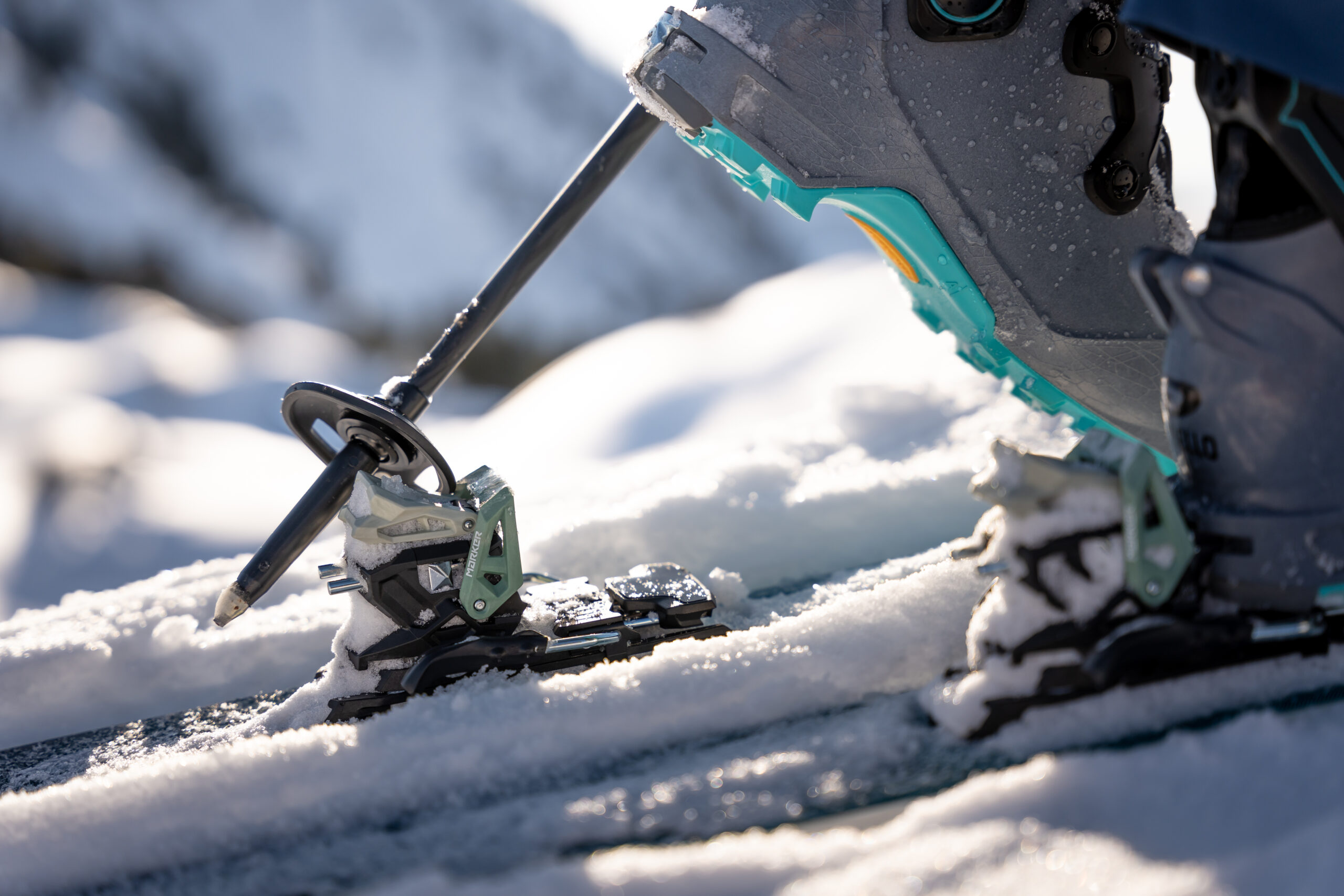 Marker Cruise 2023/24