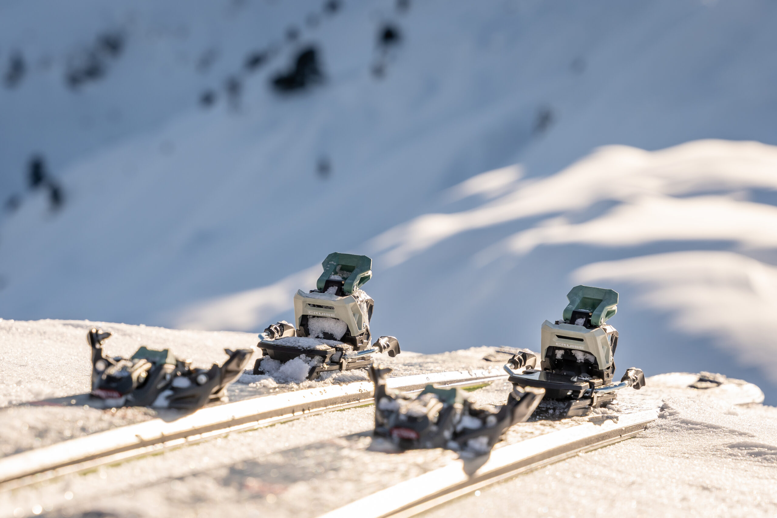 Marker Cruise 2023/24