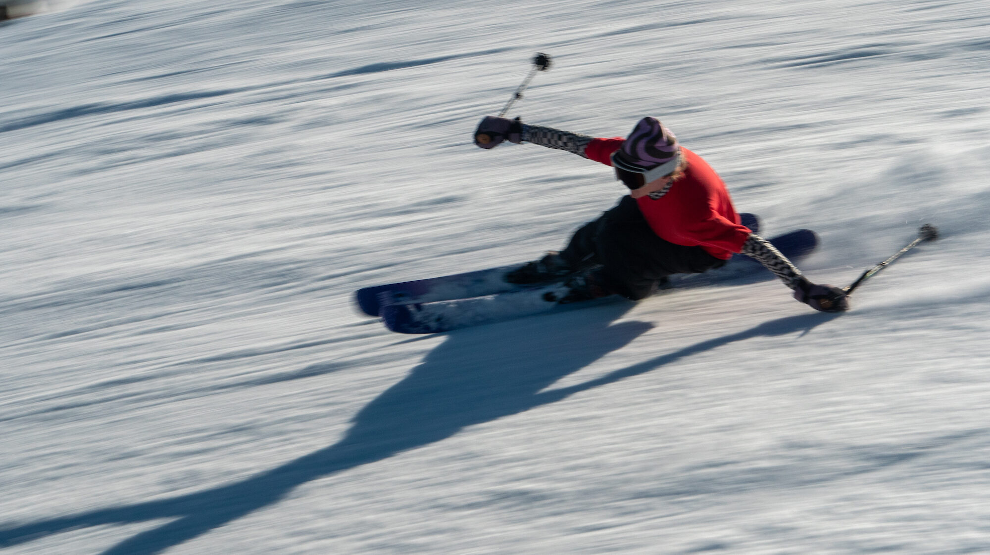 Rosina Friedel Bucket Clips