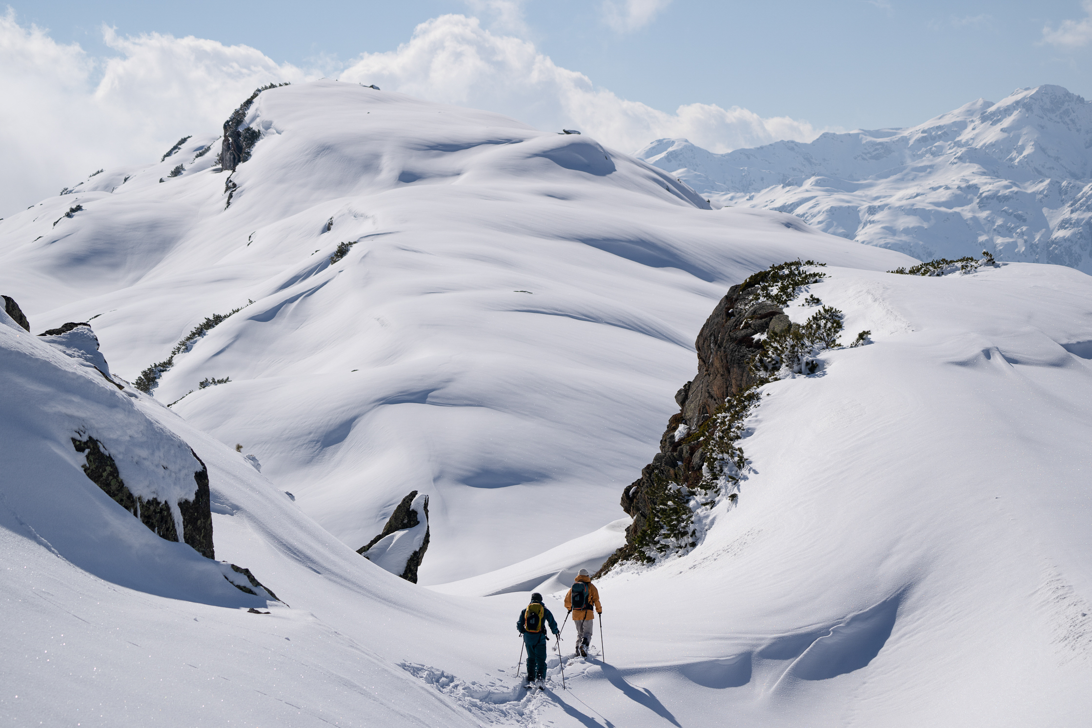 deuter Alproof Lawinenrucksack