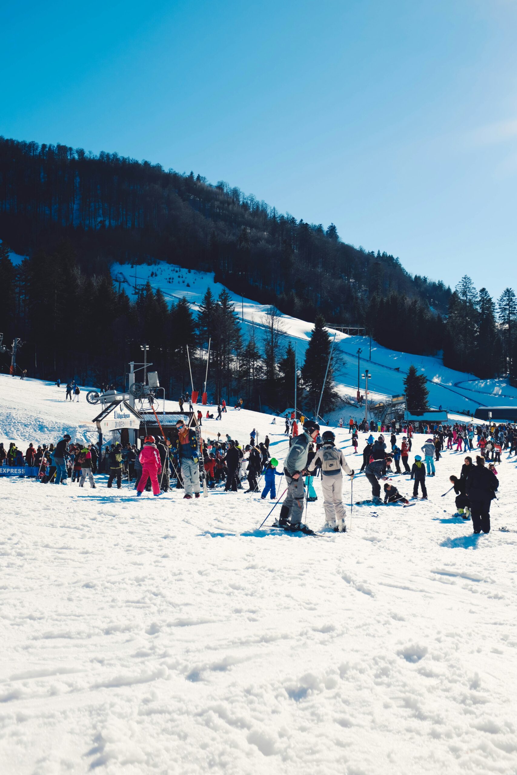 Ski Festivals