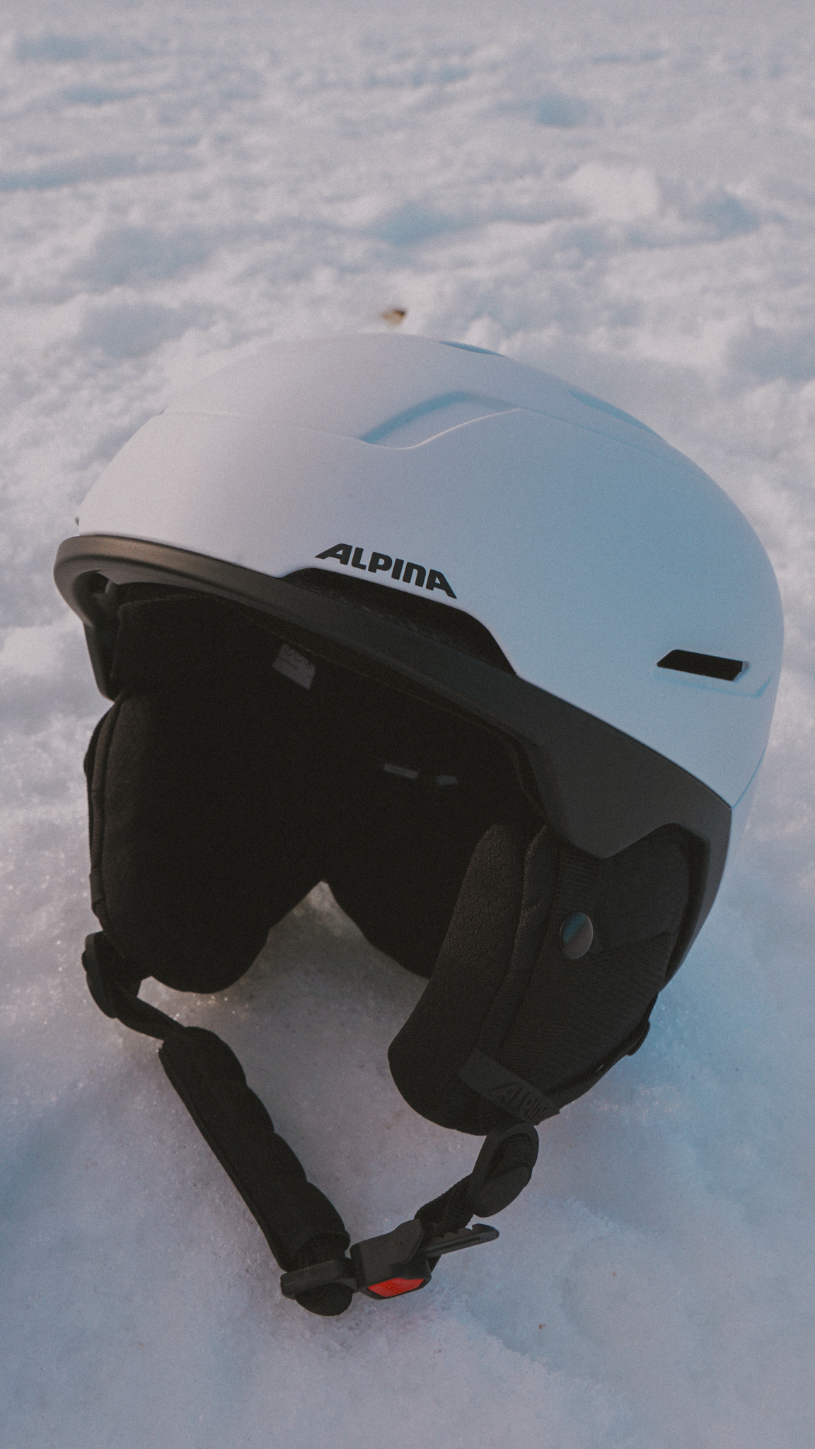 Alpina Versatile & Venet