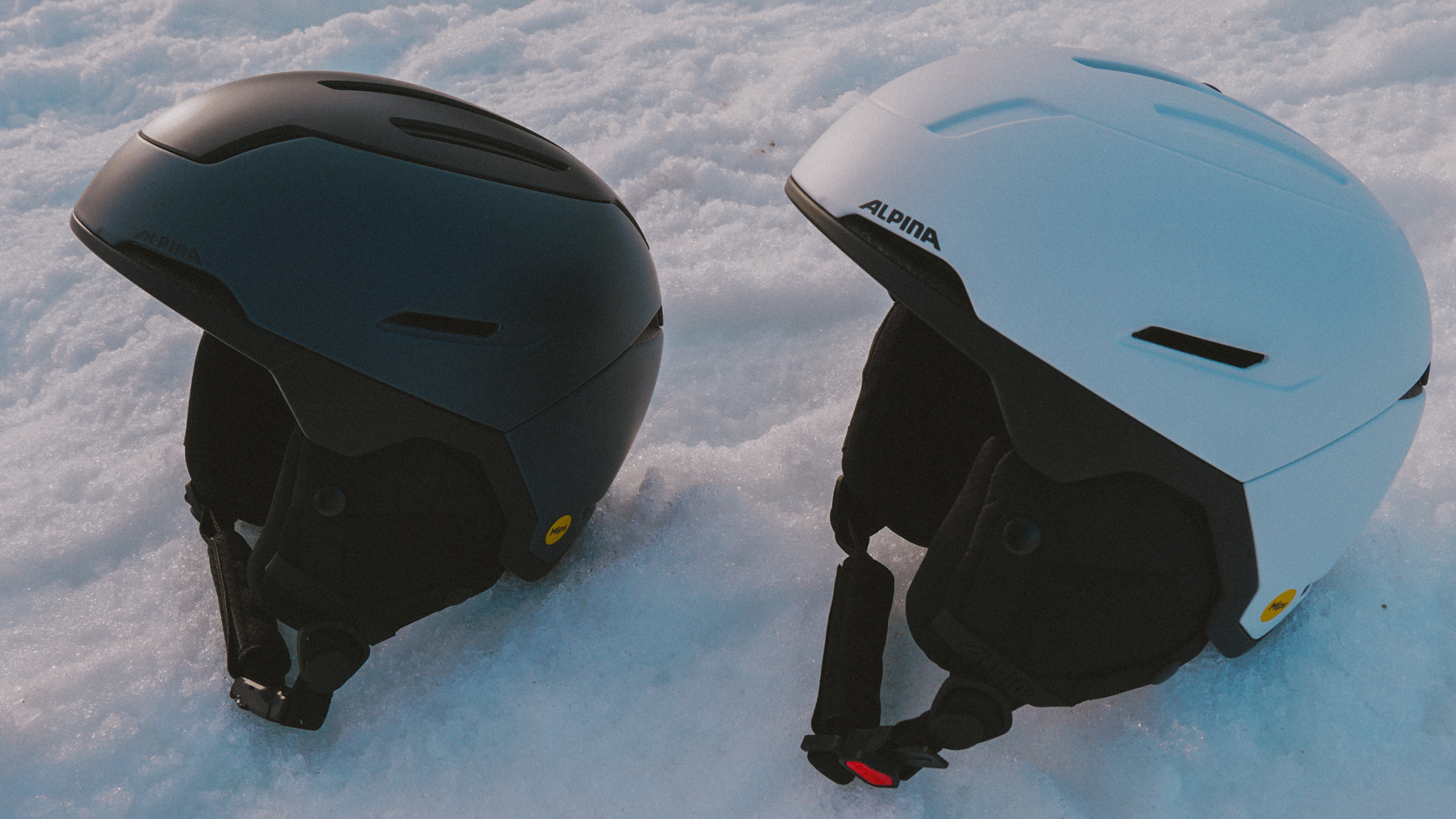 Alpina Versatile & Venet