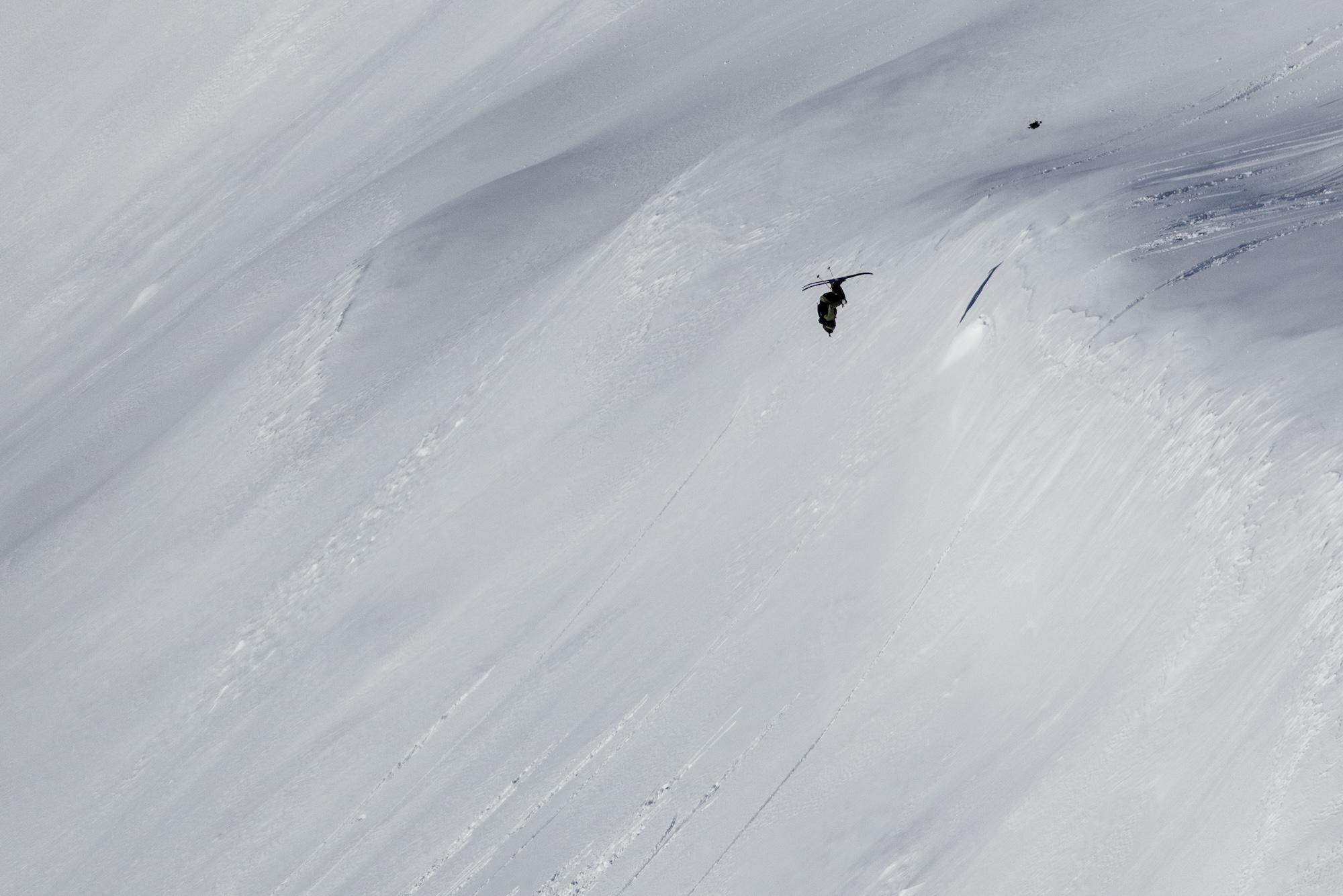  Natural Selection Tour