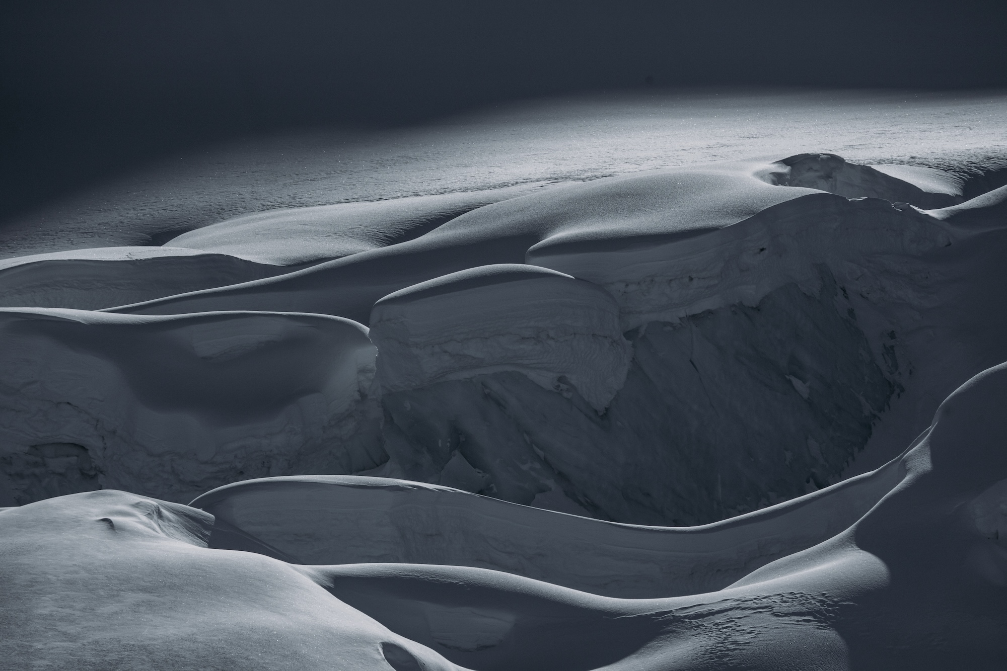 Natural Selection Tour