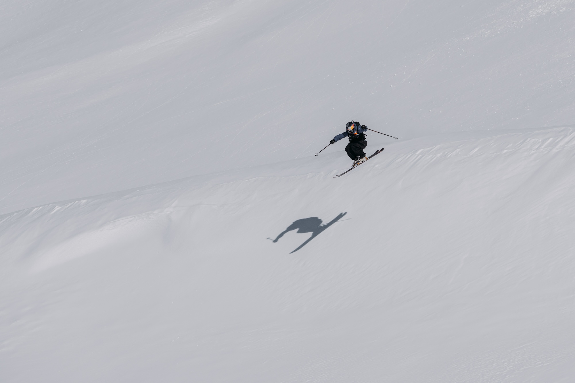 Natural Selection Tour Alaska