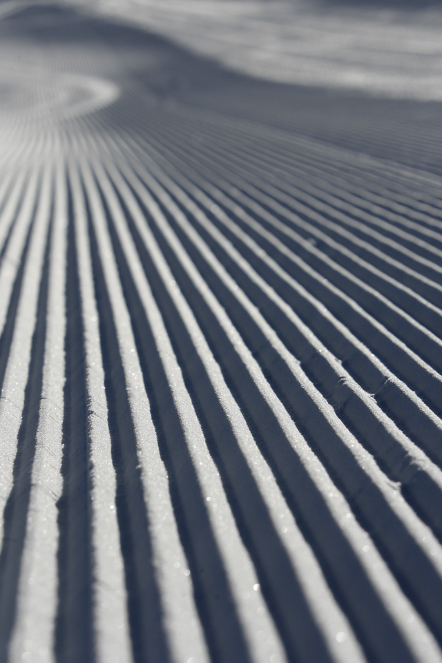 elooa_SNB1_1213_PRlo_31