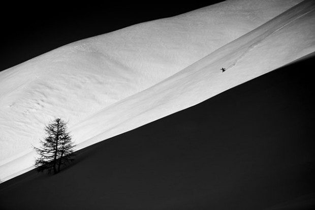 STEPS_RideGreenerFilm_Line_bydavidbirri