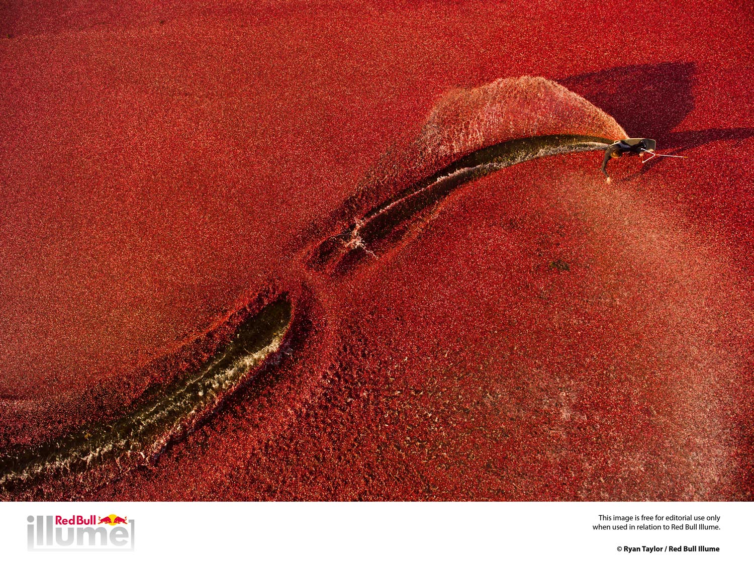 Ben Horan carves through a field of cranberries during a Red Bull Winch Session.