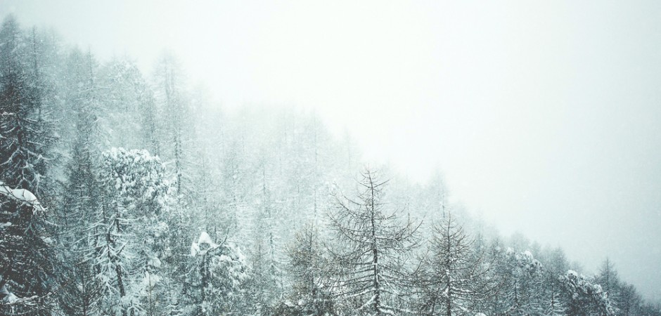 Foto: Silvano Zeiter