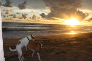 tumblr_mxnr4hkYhJ1qzx3jto1_500