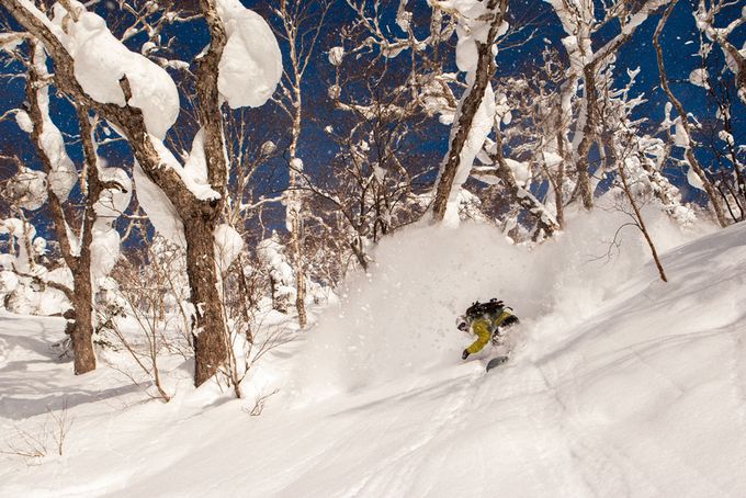 QS_2015_S3_JAPAN_BRYAN_PARADIS--2