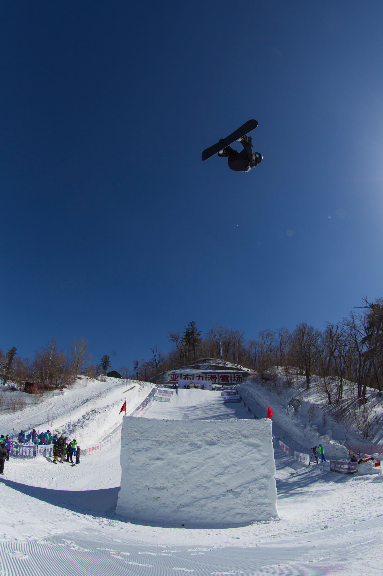 xmbmMax_Parrot_Sami_Tuoriniemi_X6F9141