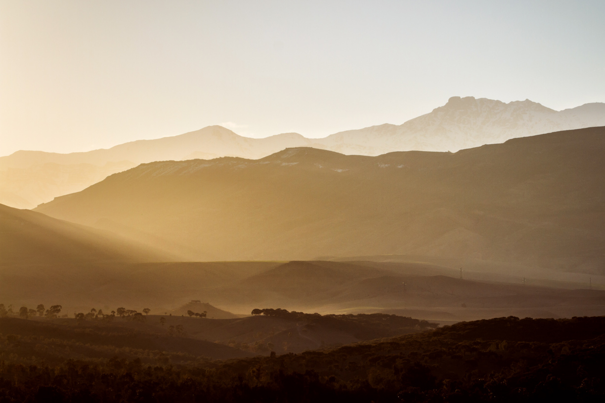 Pic: Bálint Hambalkó
