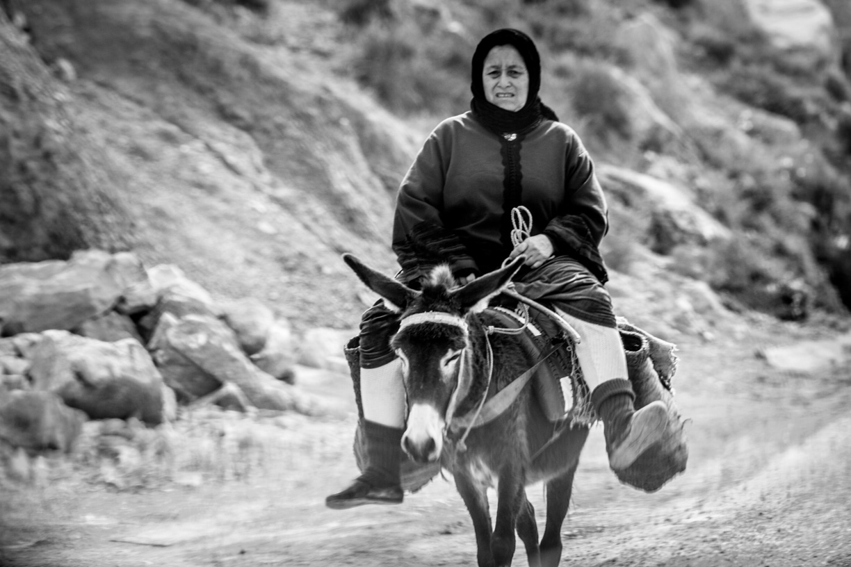 Pic: Bálint Hambalkó