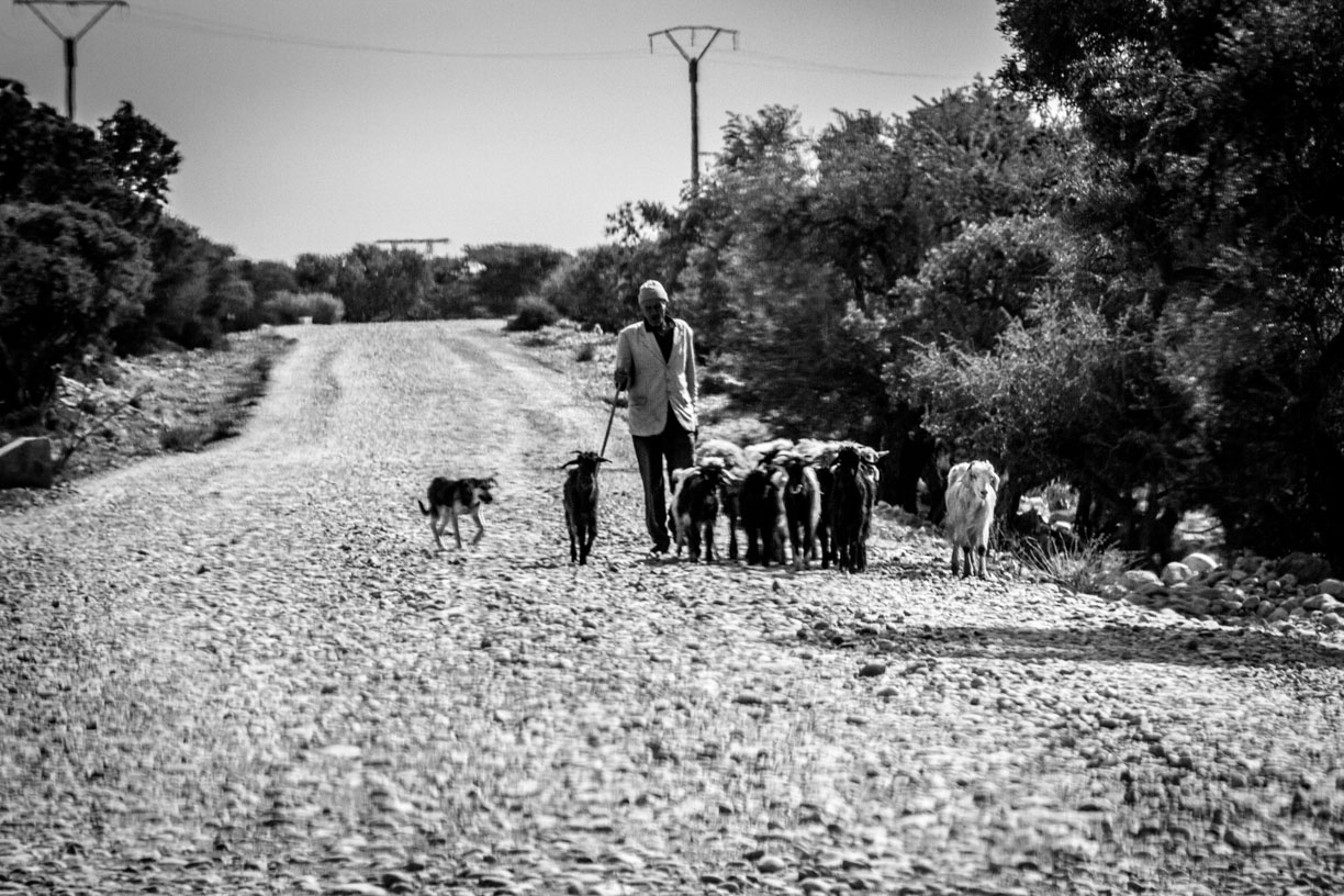 Pic: Bálint Hambalkó