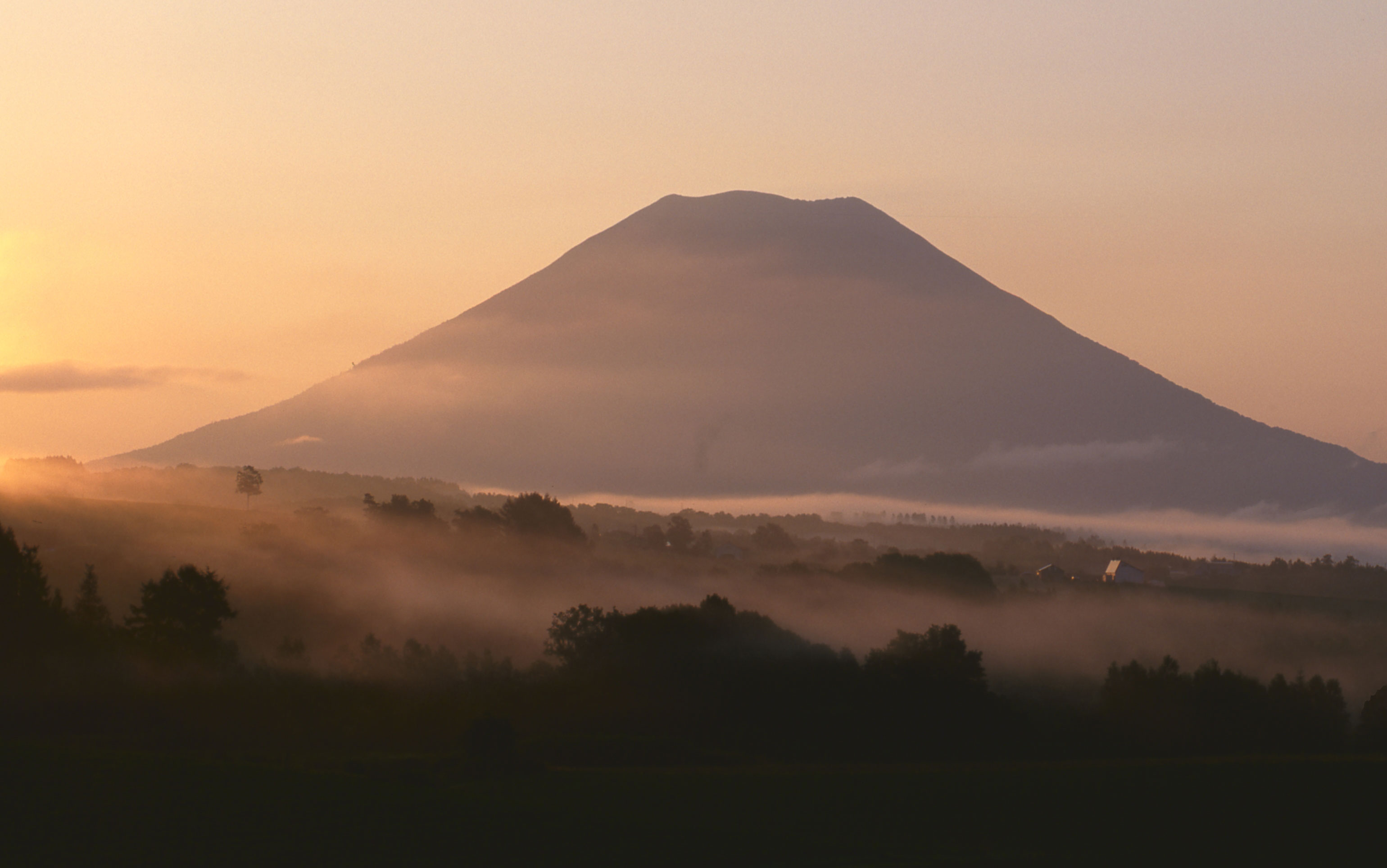 Japan, Niseko, Hokkaido, Japow