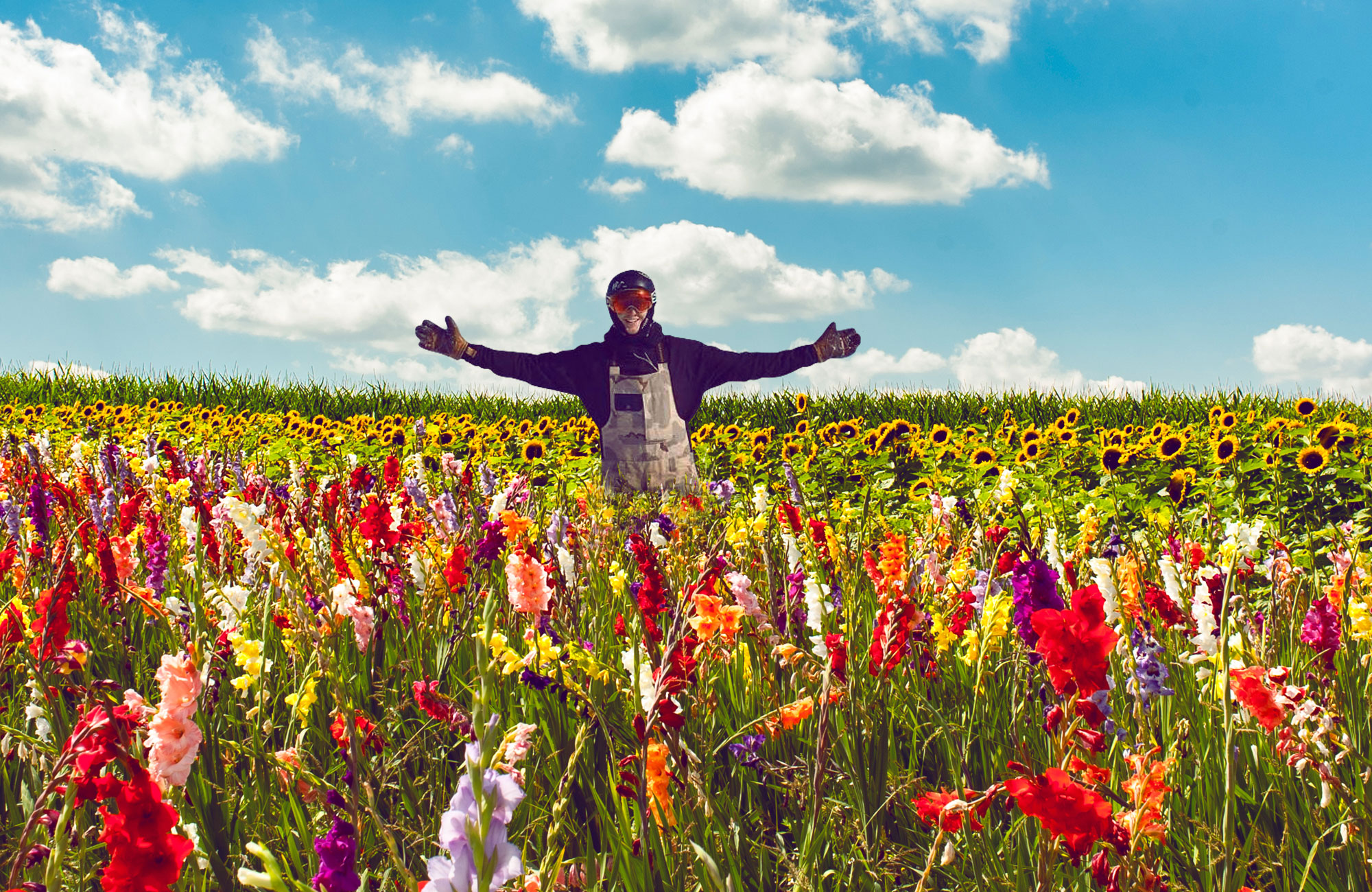 Snowboard, Sommer, Training