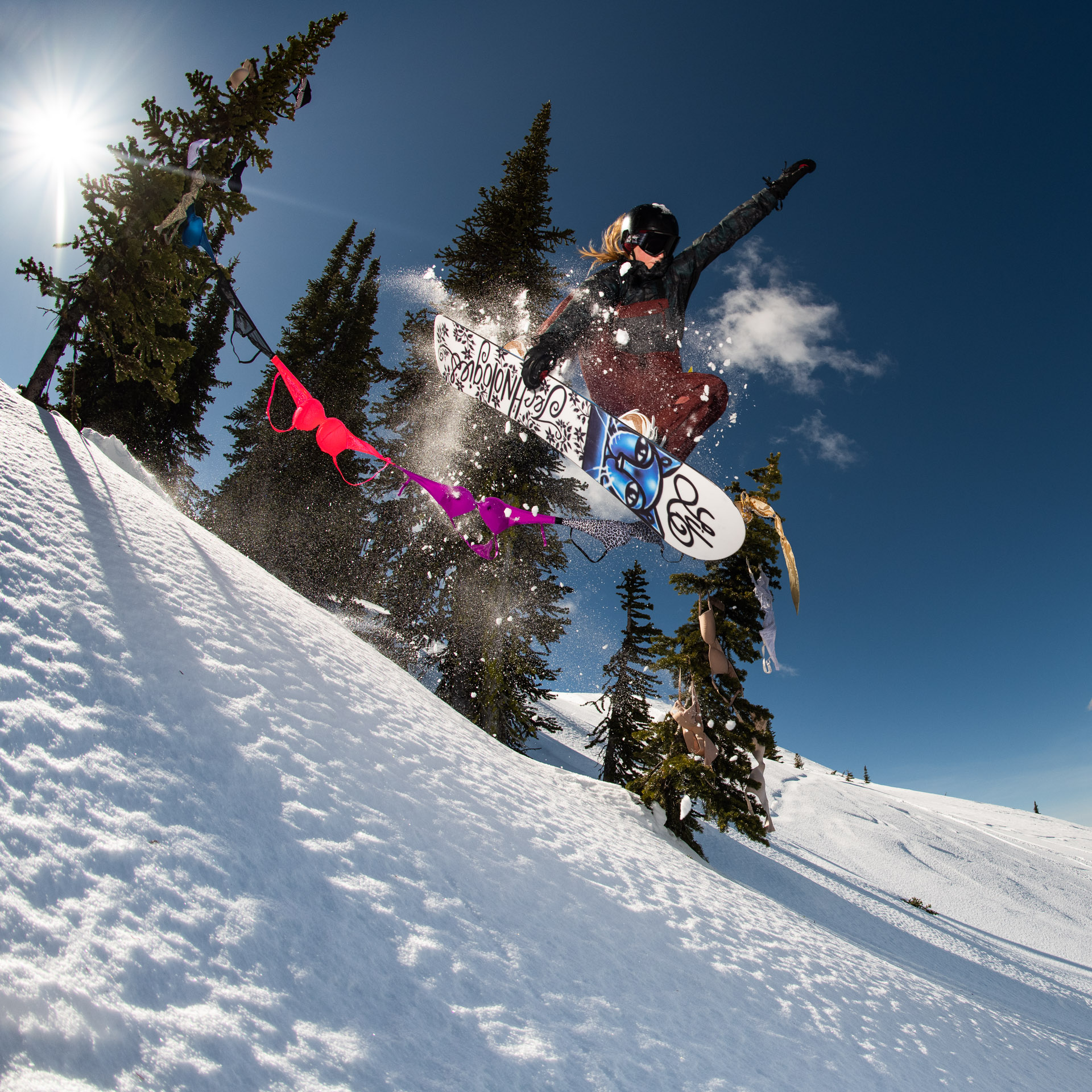 icon, Icon, lib tech, womens lib, women