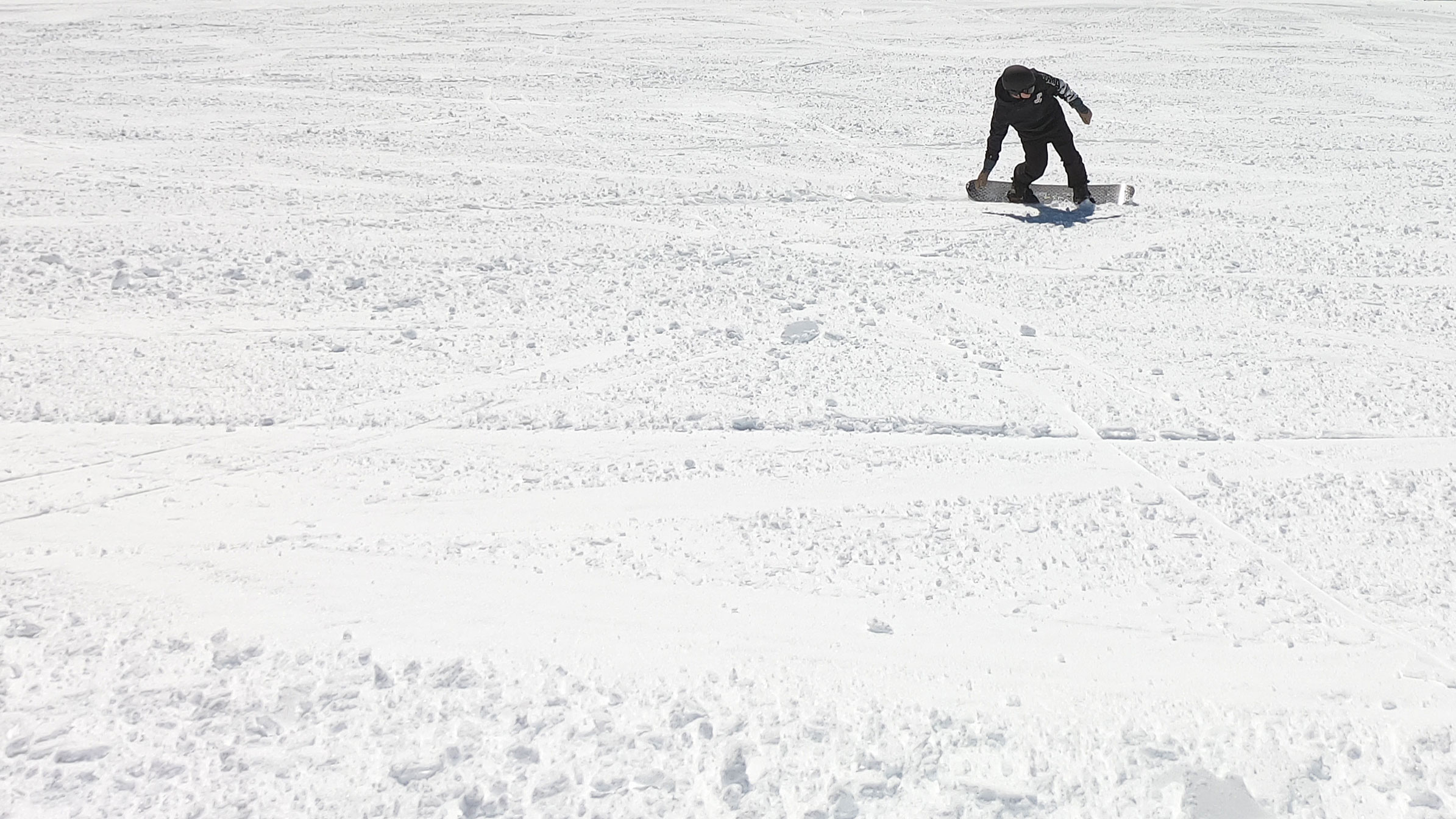 Lib Tech Skate Banana. Skate Banana, Lib