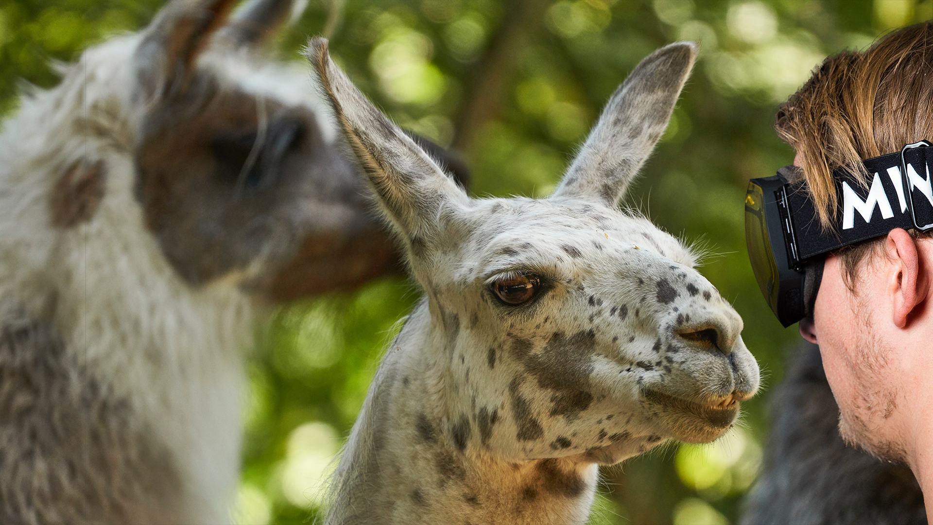 messy weekend, messyweekend, goggles, schneebrillen, goggle, schneebrille