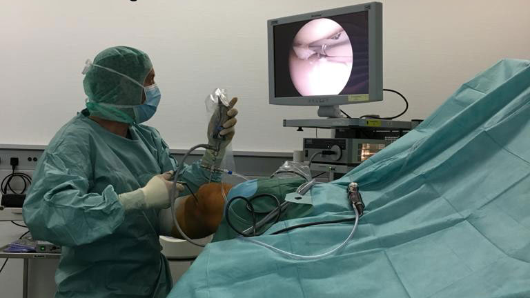 dr. hochrein, alfred hochrein, sport arzt, verletzungen, unfall, snowboard-verletzungen