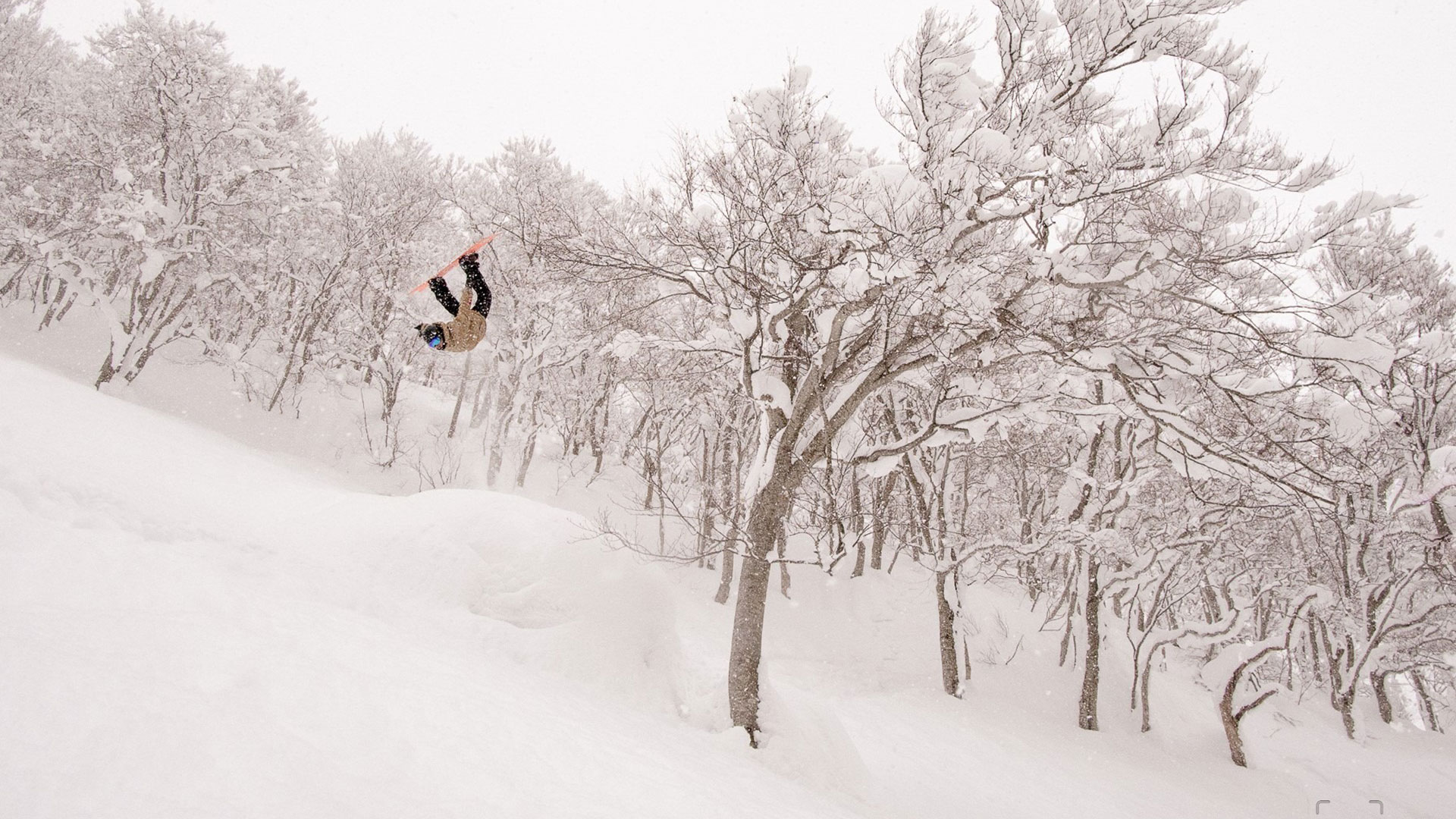 Michael Dammert, Michi Dammert, Action, SNowboard, DSV, Freeride