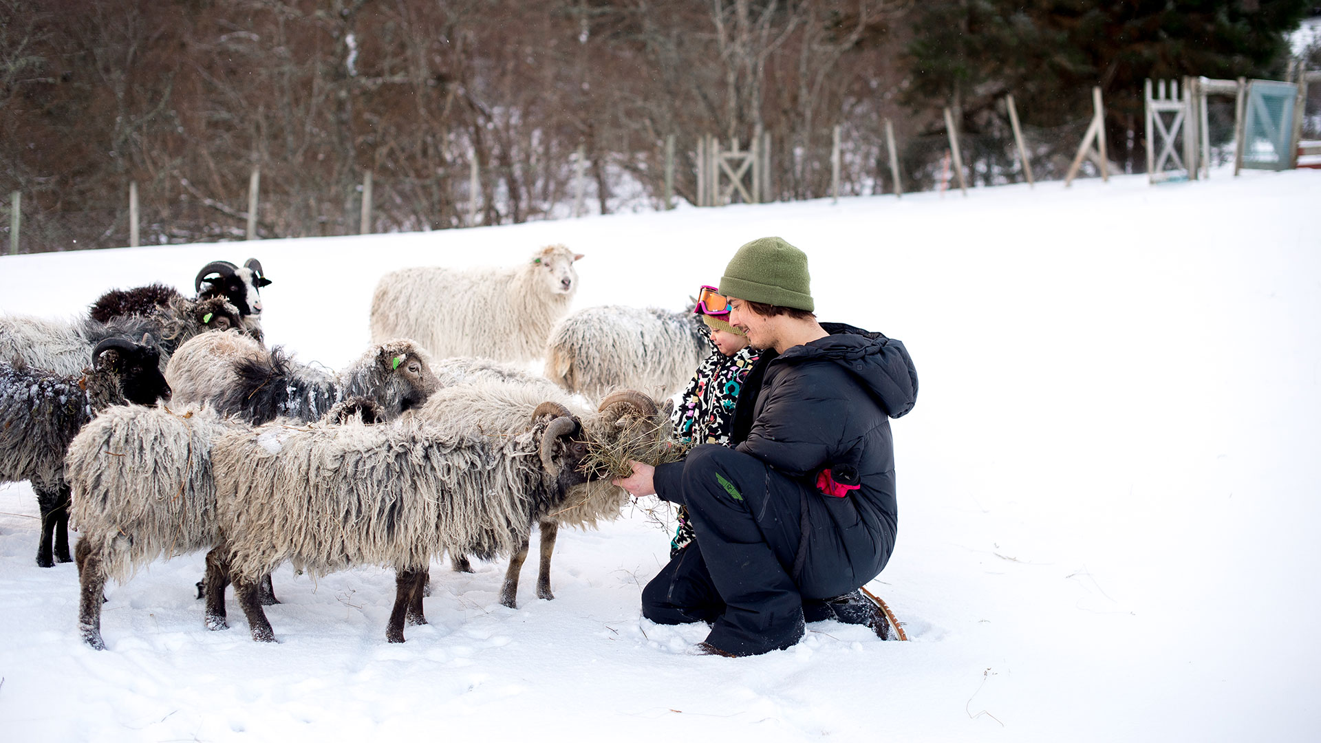 Mads Jonsson, norwegen, snowboarden, snowboarder
