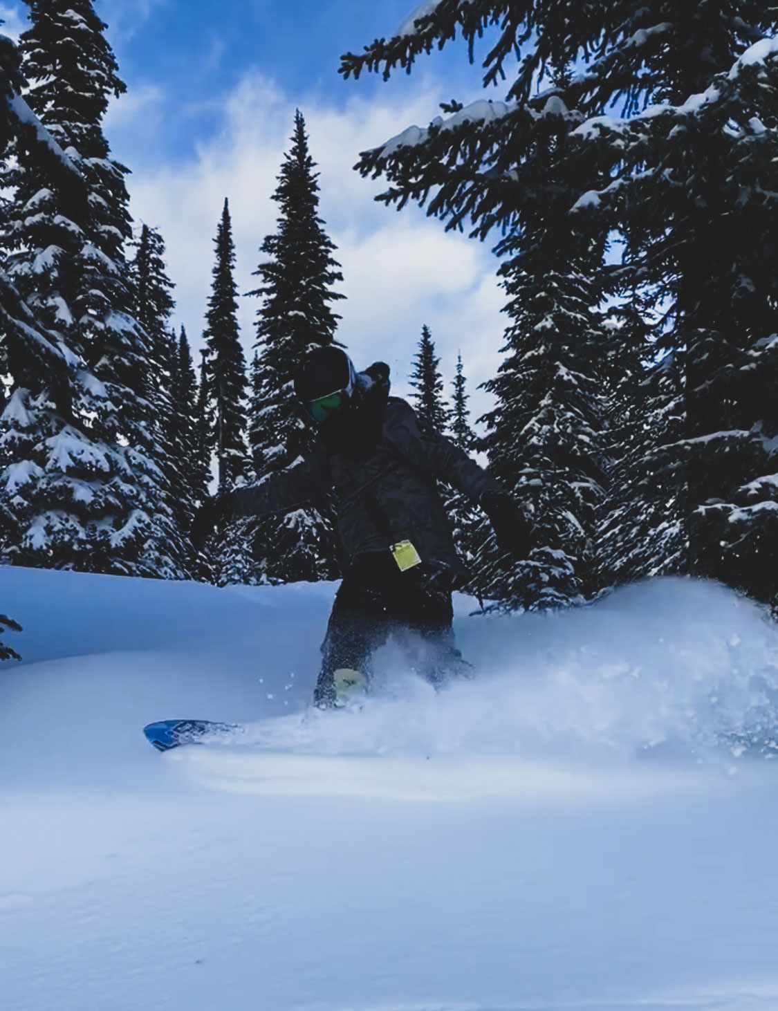 Sun Peaks, Treeruns, Snowboard, Kanada, Freeride