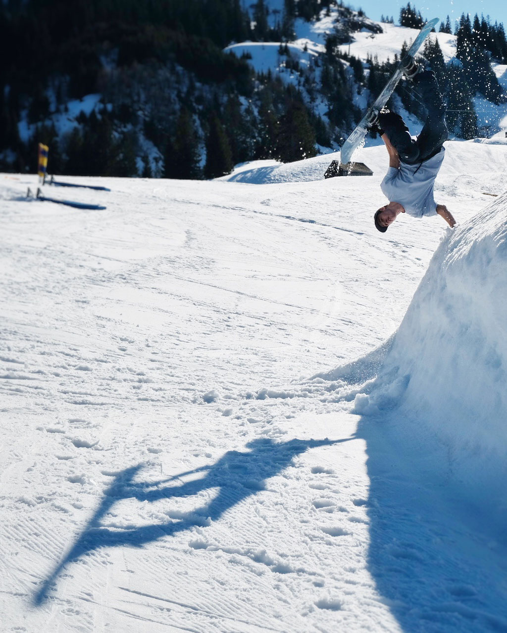 Jan Scherrer, Halfpipe