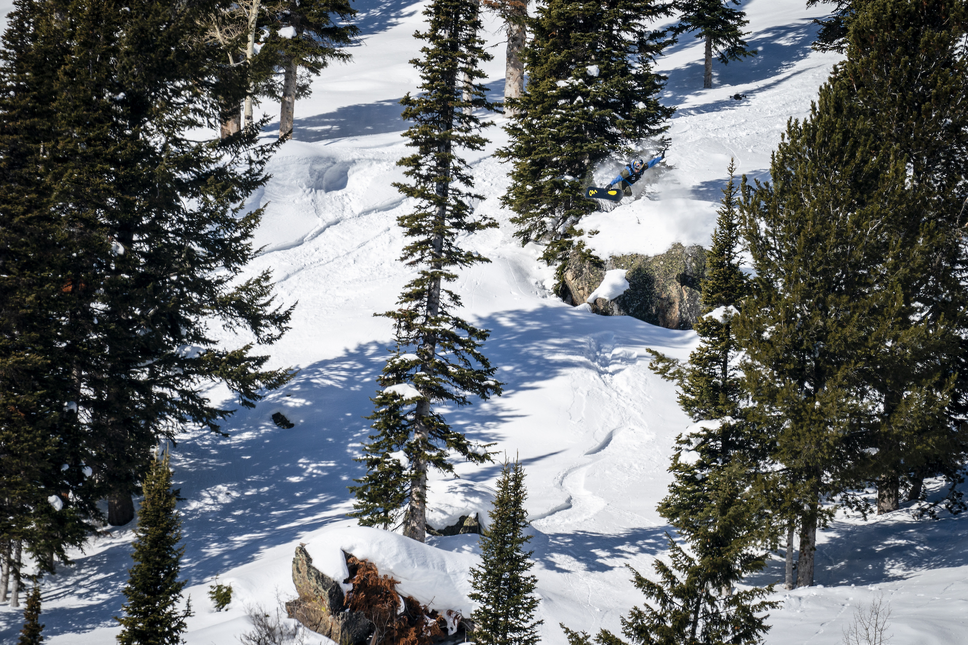 Travis Rice Natural Selection