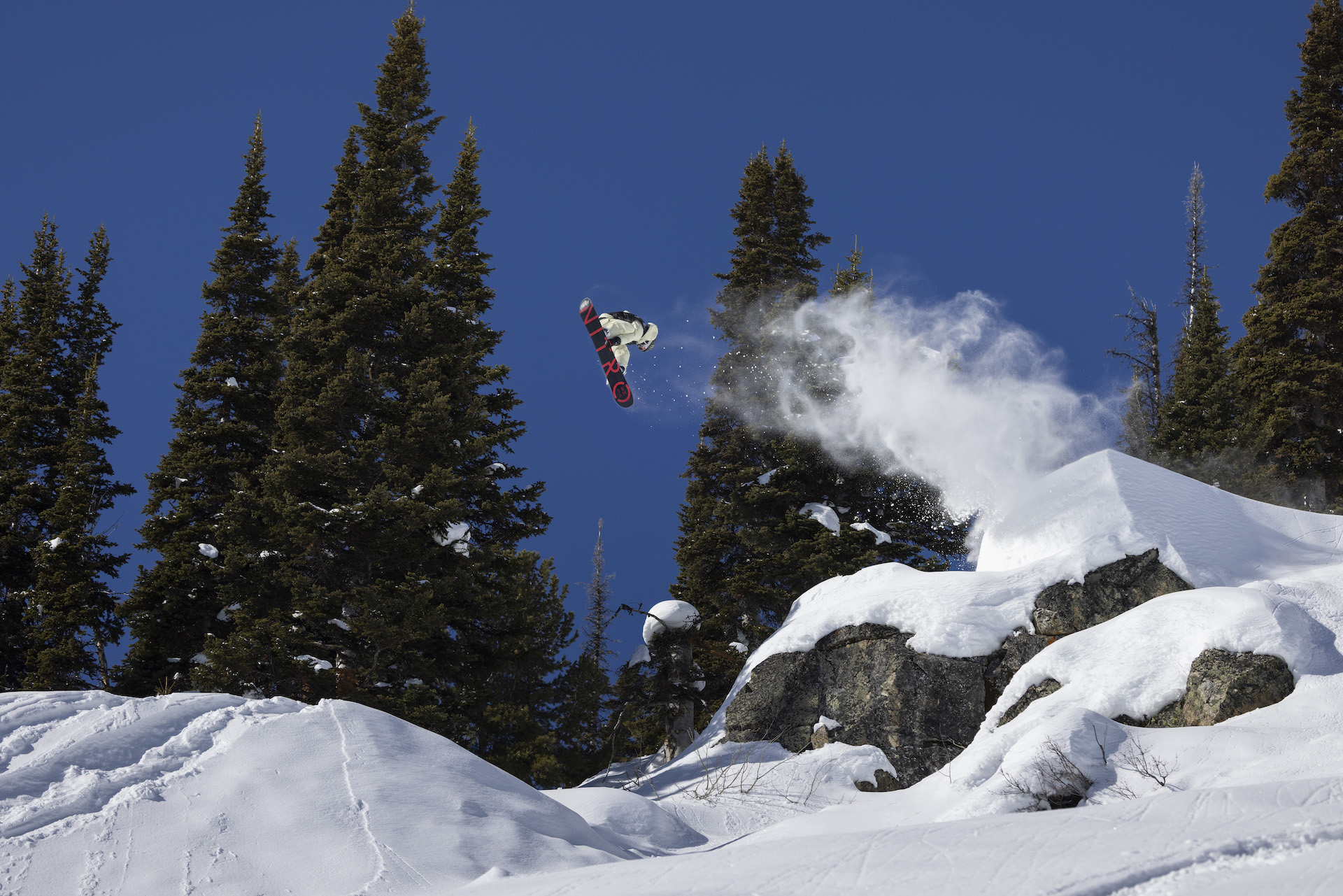 Torgeir Bergrem Natural Selection