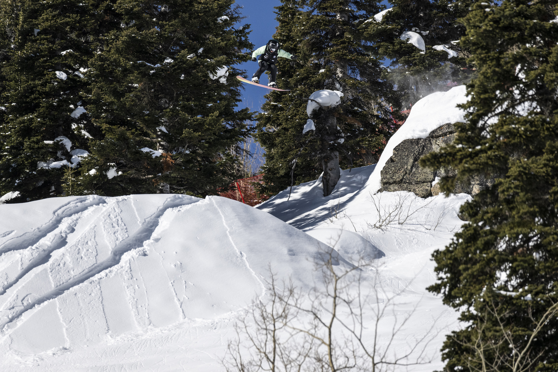 Marion Haerty Natural Seleciton