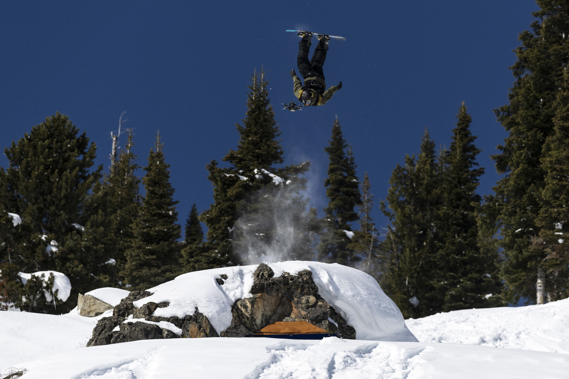 Gabe Ferguson Natural Selection