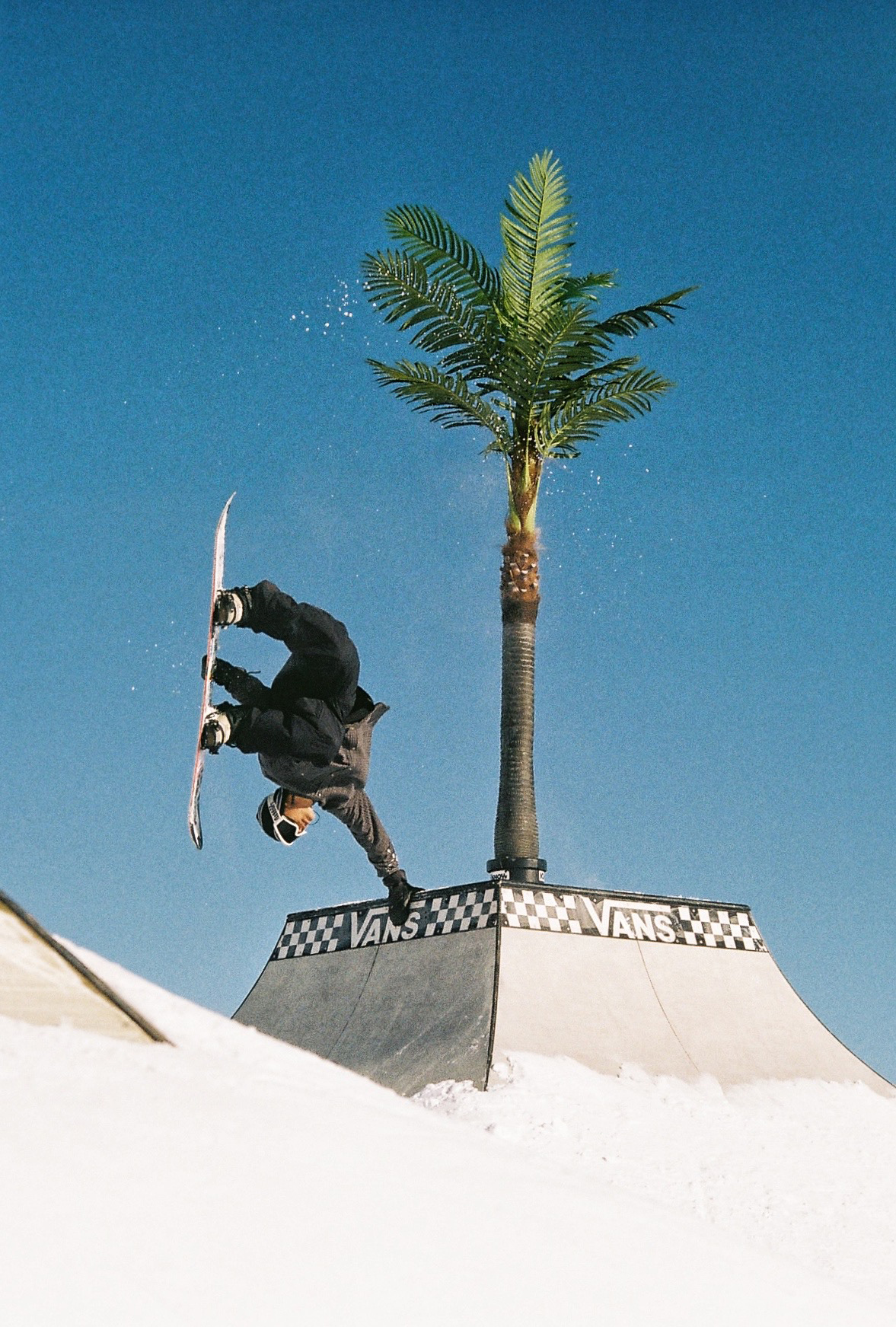 Phil Siefken - SnowboarderMBM