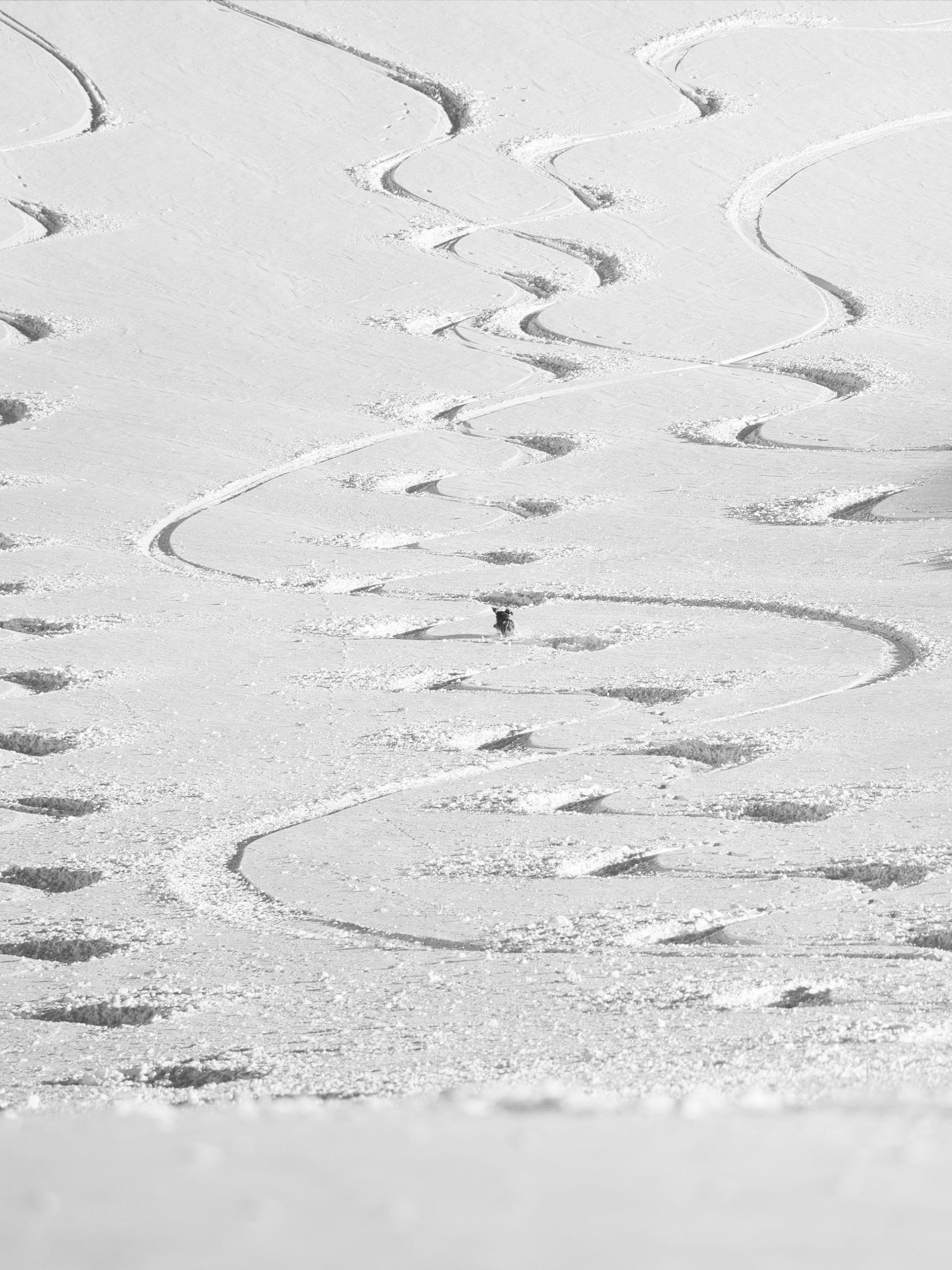 Gimme 10_Phil Bucher