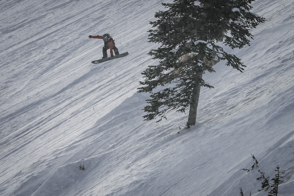 Natural Selection Baldface 2022