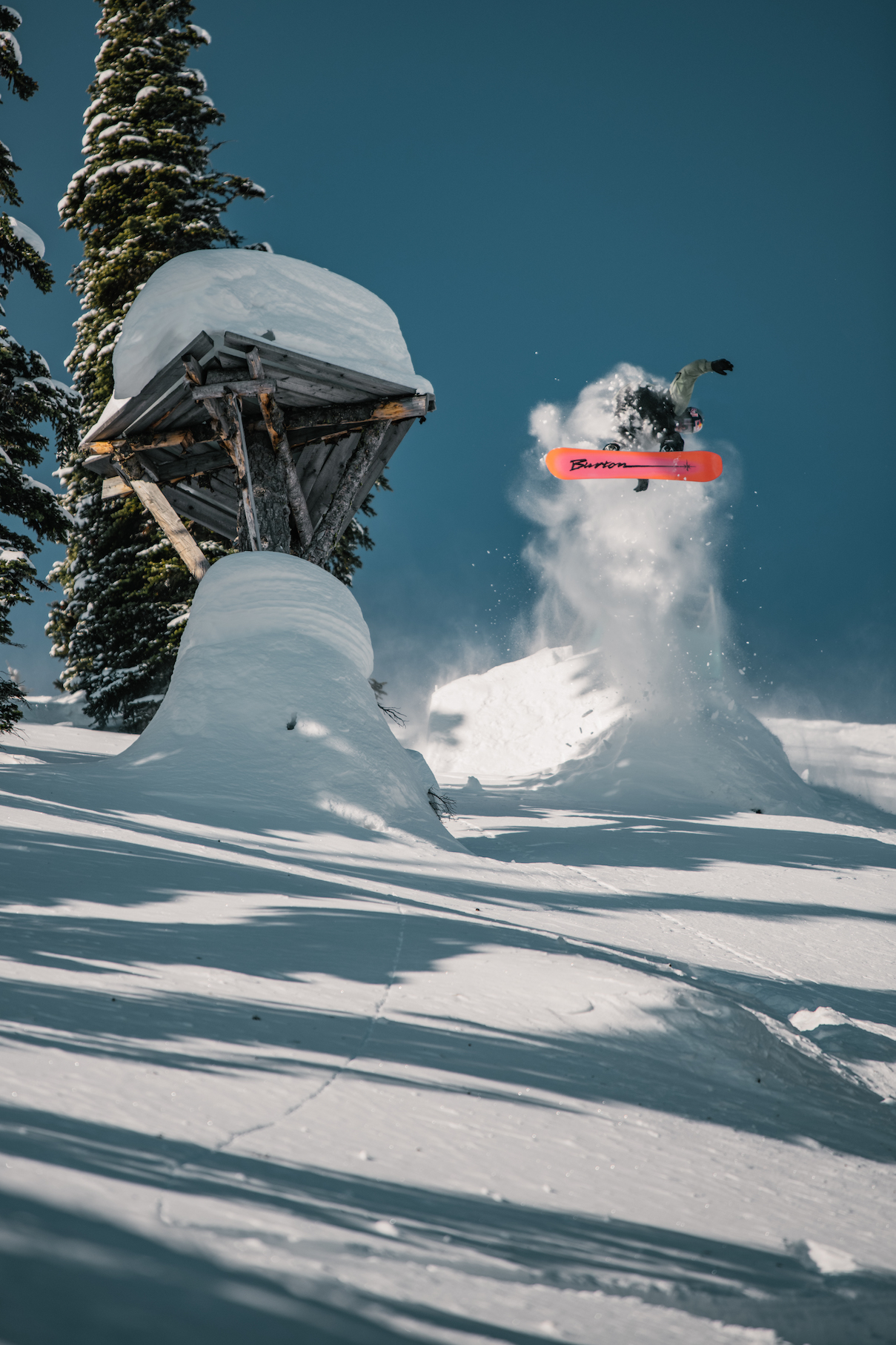 Natural Selection Baldface 2022