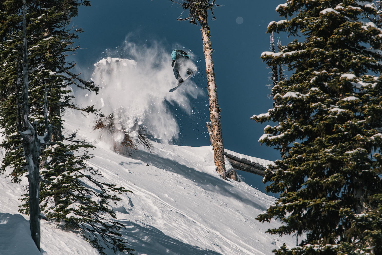 Natural Selection Baldface 2022