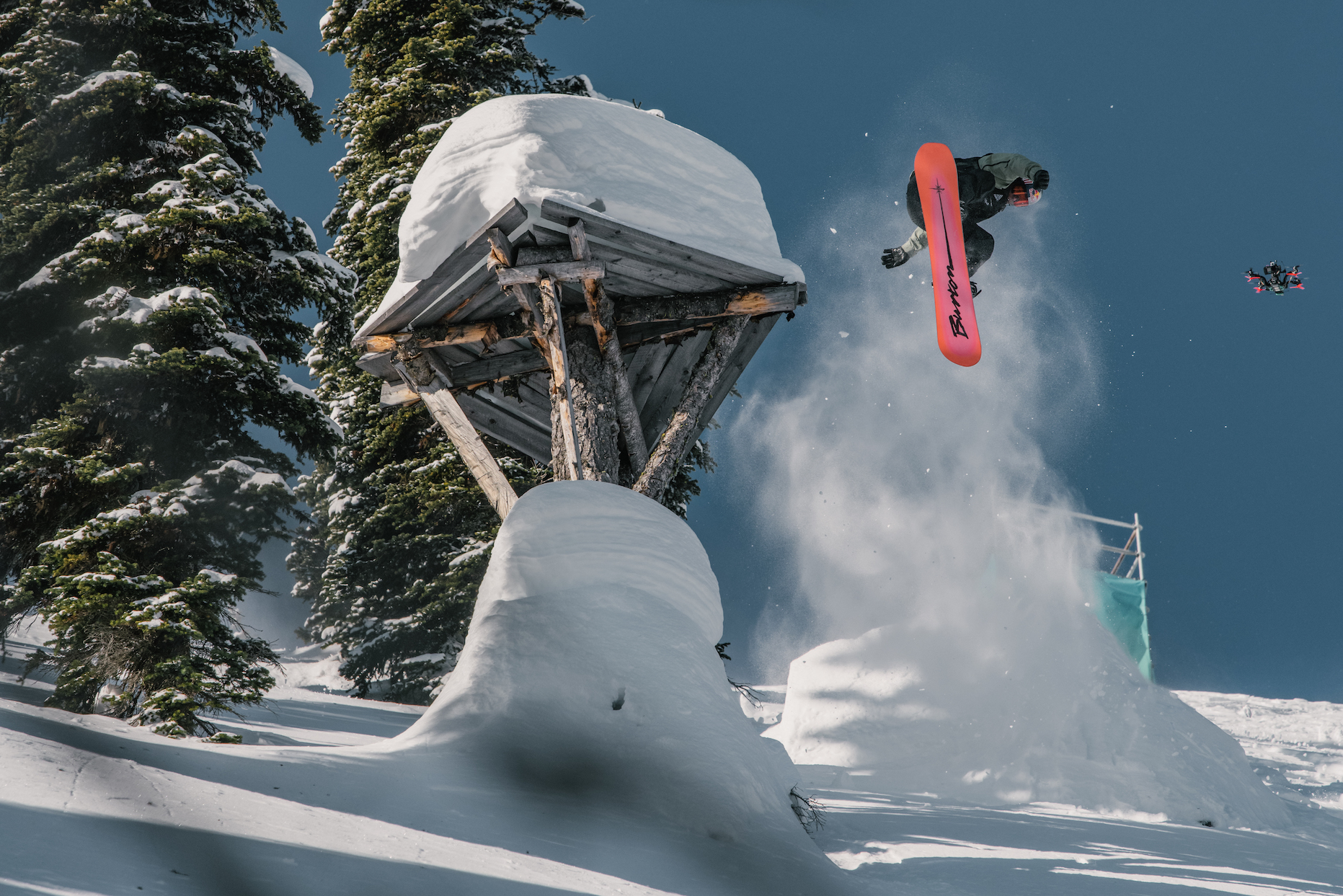 Natural Selection Baldface 2022