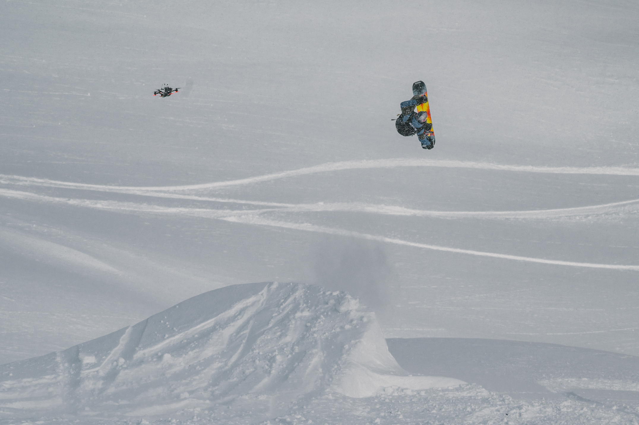 Natural Selection Baldface 2022